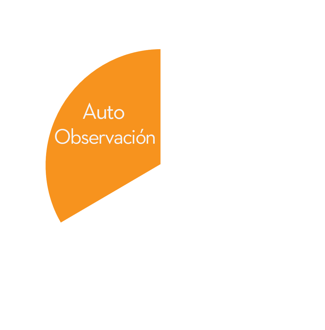 auto-observacion-coaching-foreyco-sas-bogota